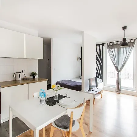 White With Terrace Apartment Wroclaw